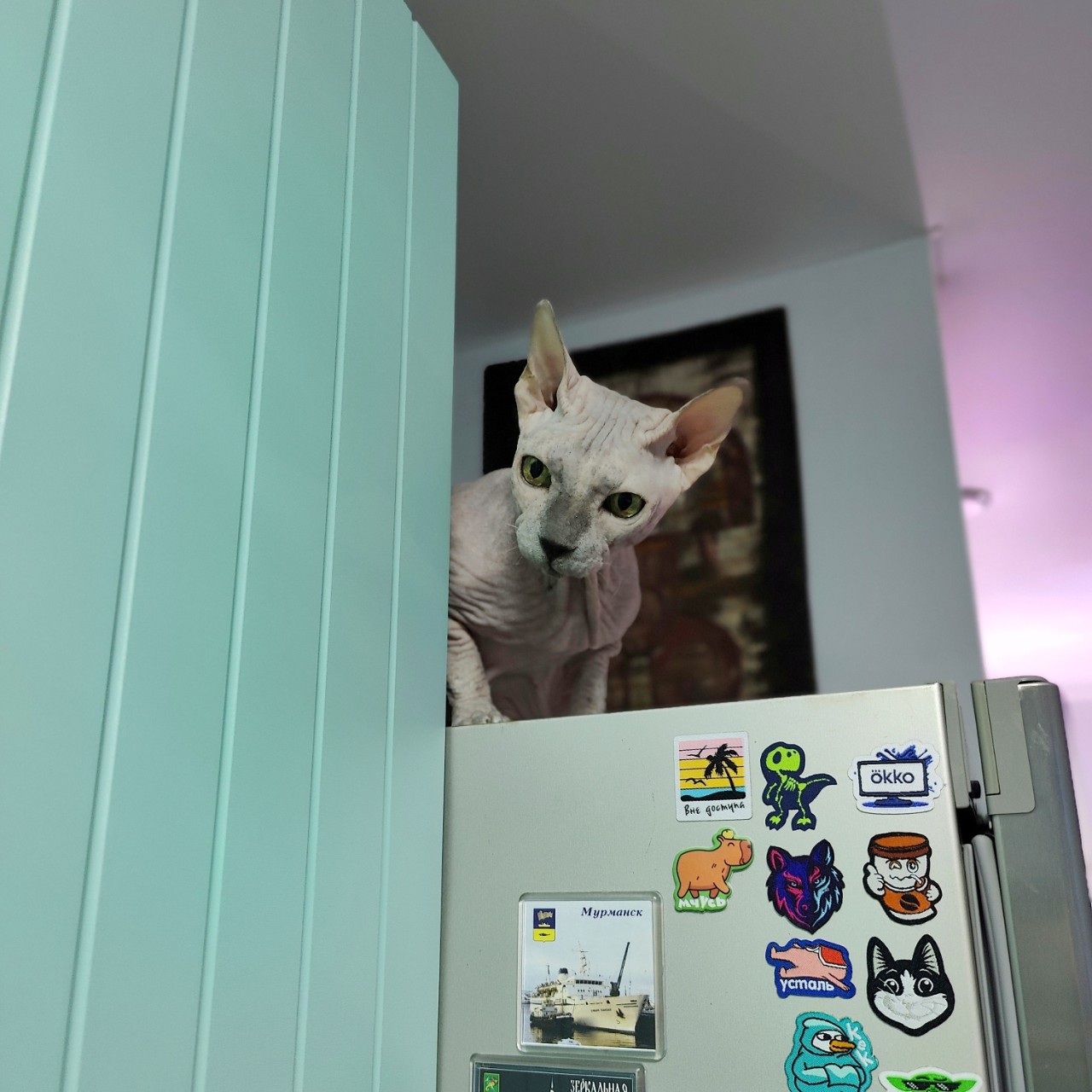 Виктор в LOOKY — фото 2