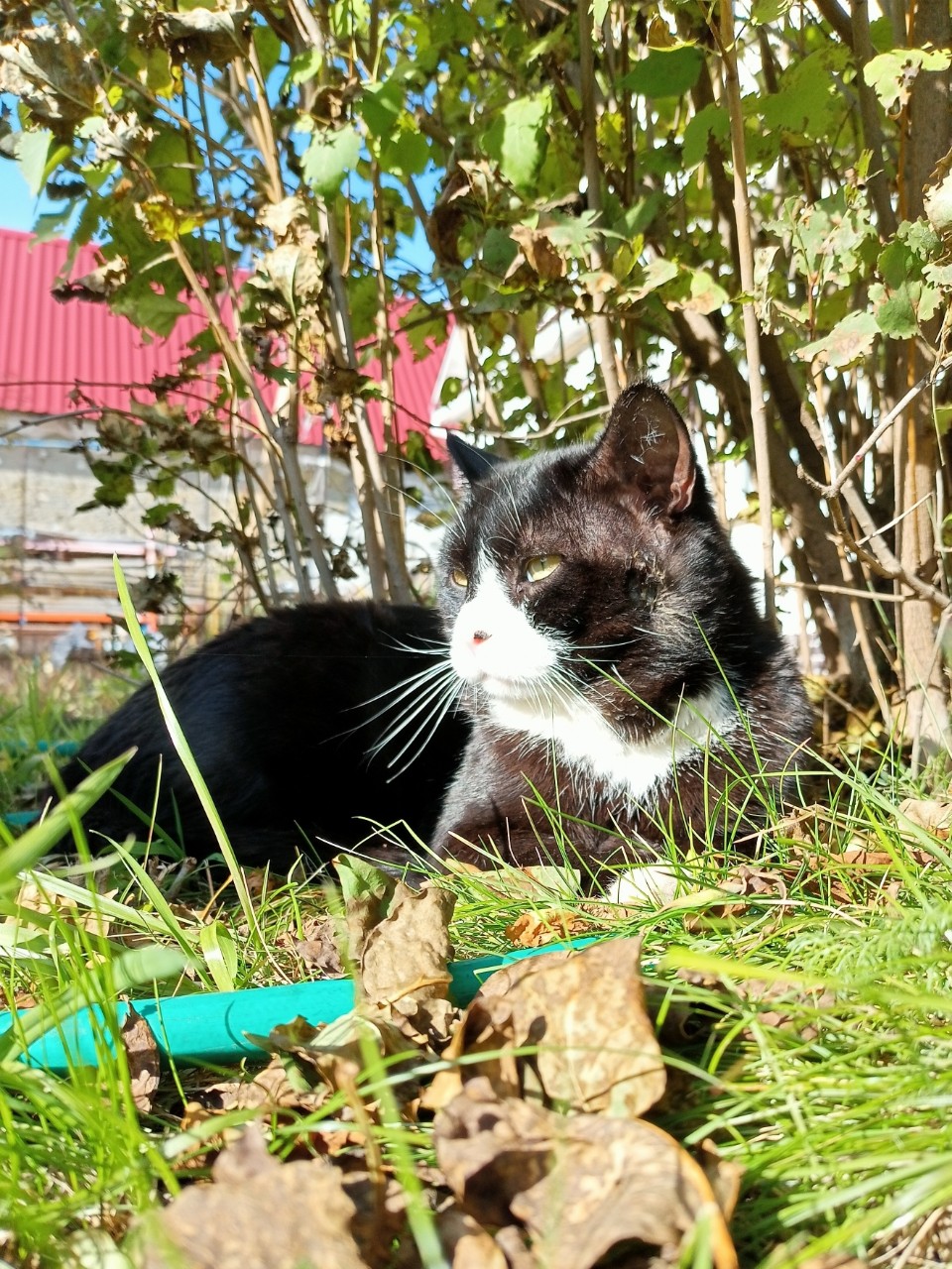 tati_konysova_dolls в LOOKY — фото 10