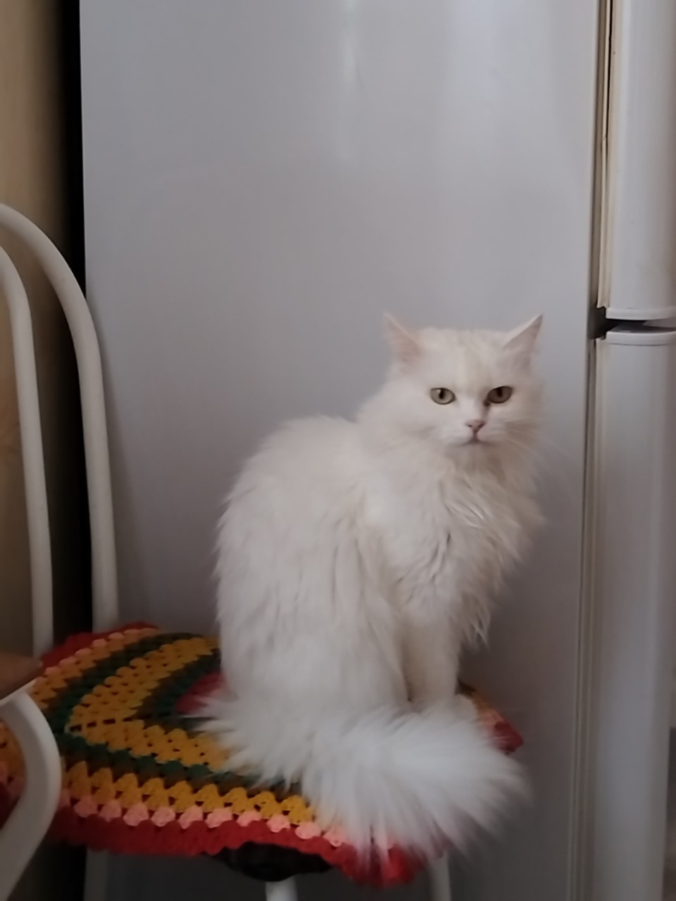 tati_konysova_dolls в LOOKY — фото 5