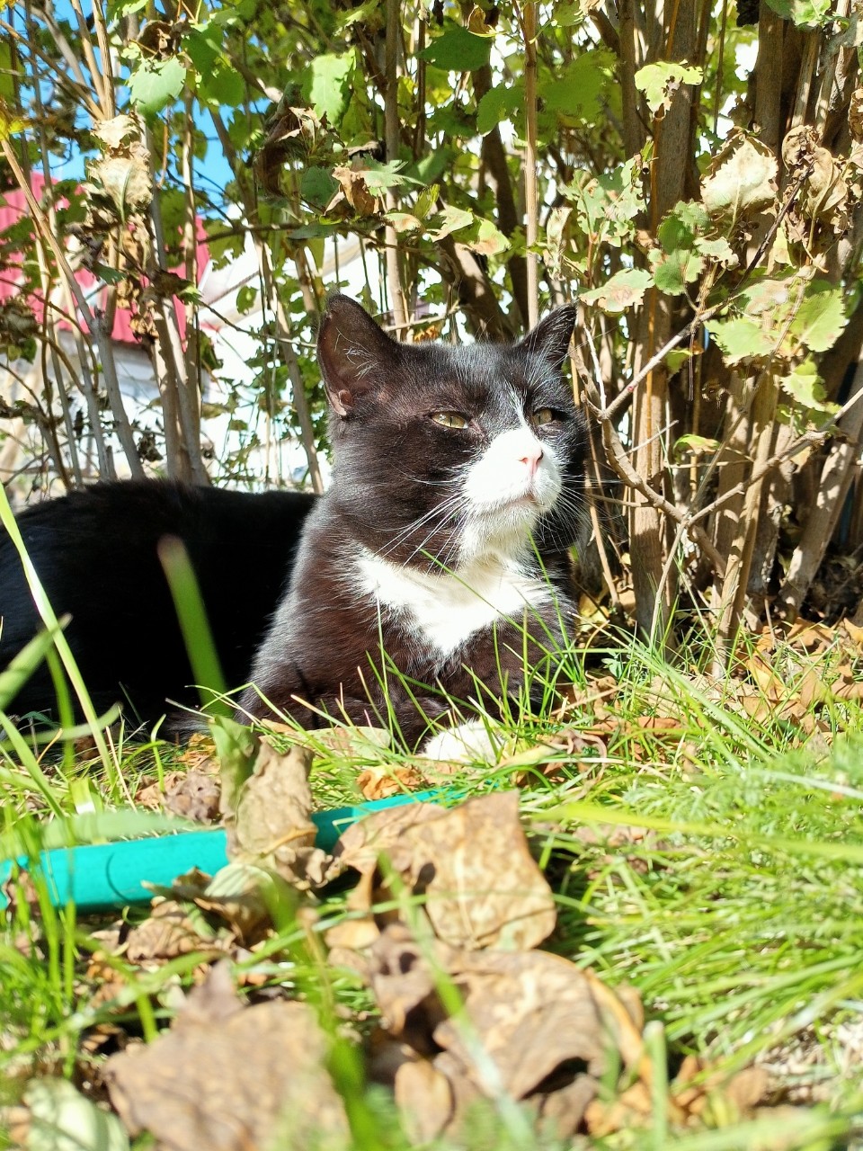 tati_konysova_dolls в LOOKY — фото 2