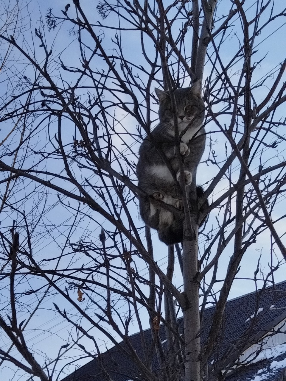 tati_konysova_dolls в LOOKY — фото 6