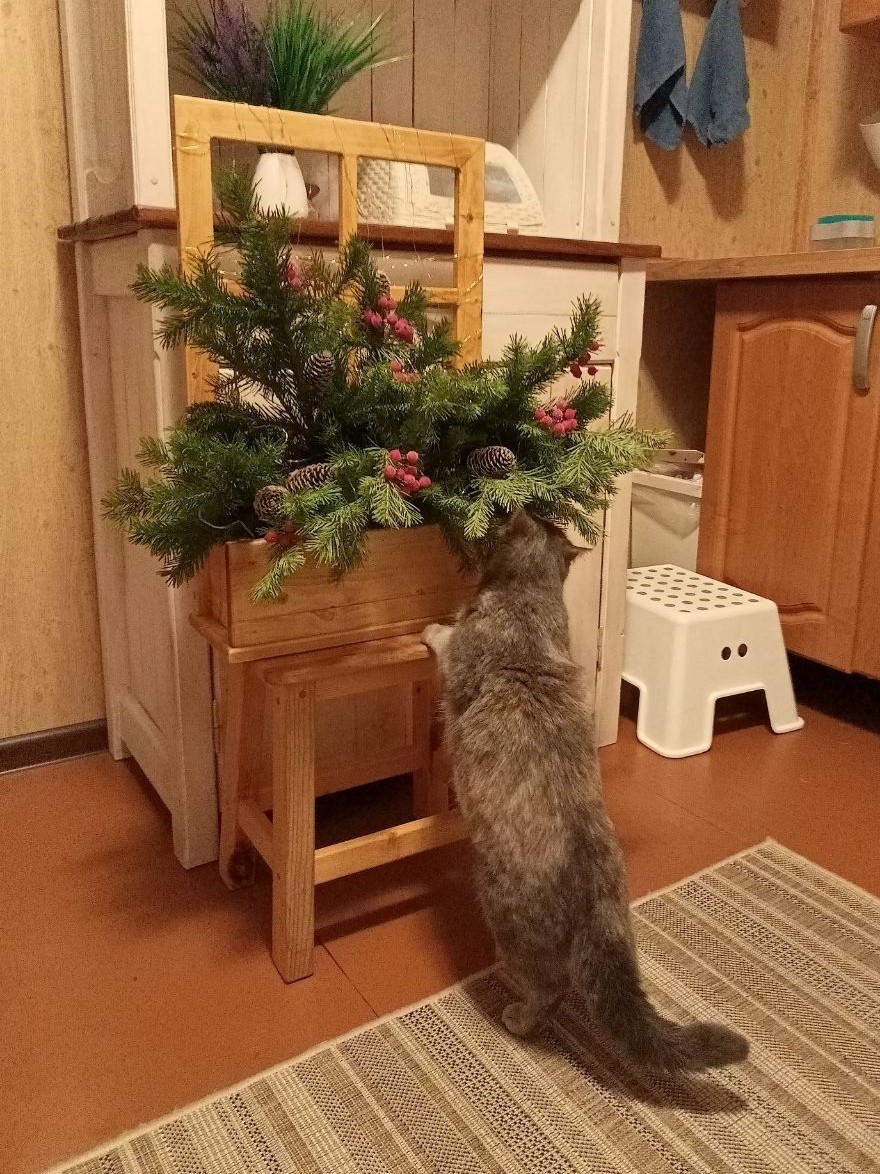 tati_konysova_dolls в LOOKY — фото 3