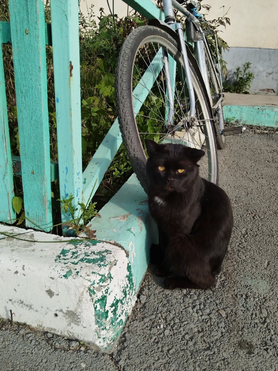 tati_konysova_dolls в LOOKY — фото 4