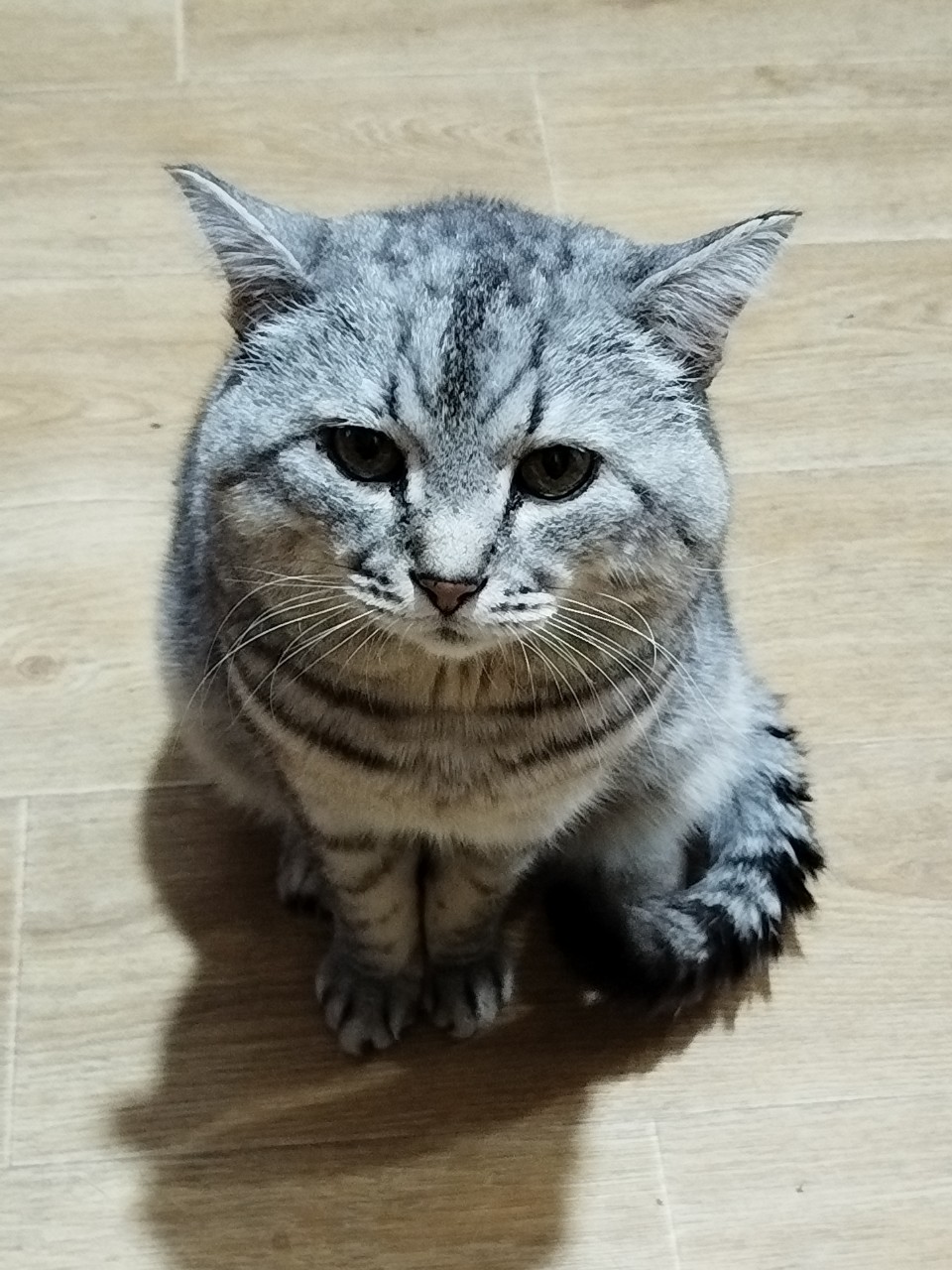 tati_konysova_dolls в LOOKY — фото 8