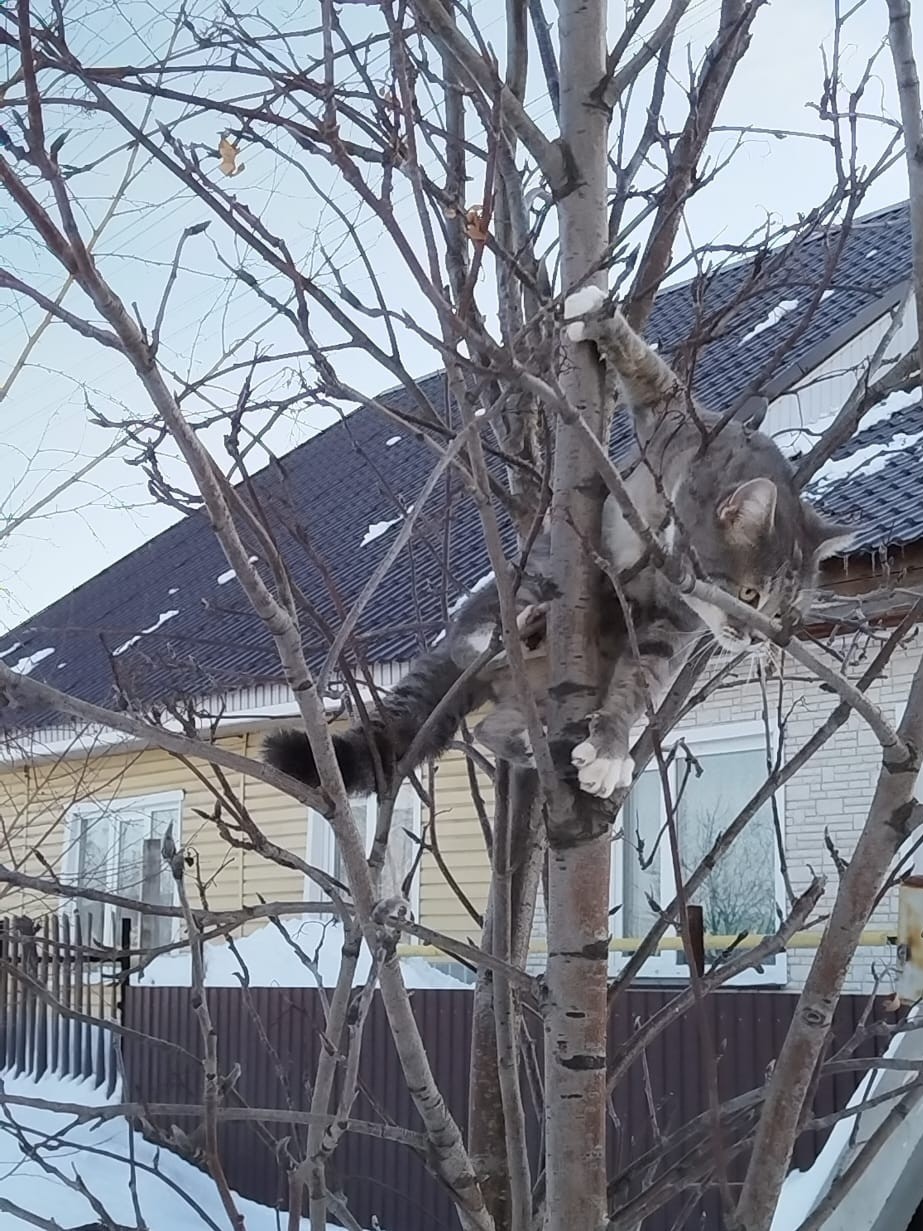 tati_konysova_dolls в LOOKY — фото 7