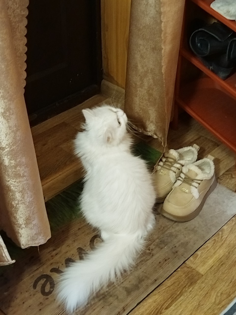 tati_konysova_dolls в LOOKY — фото 1