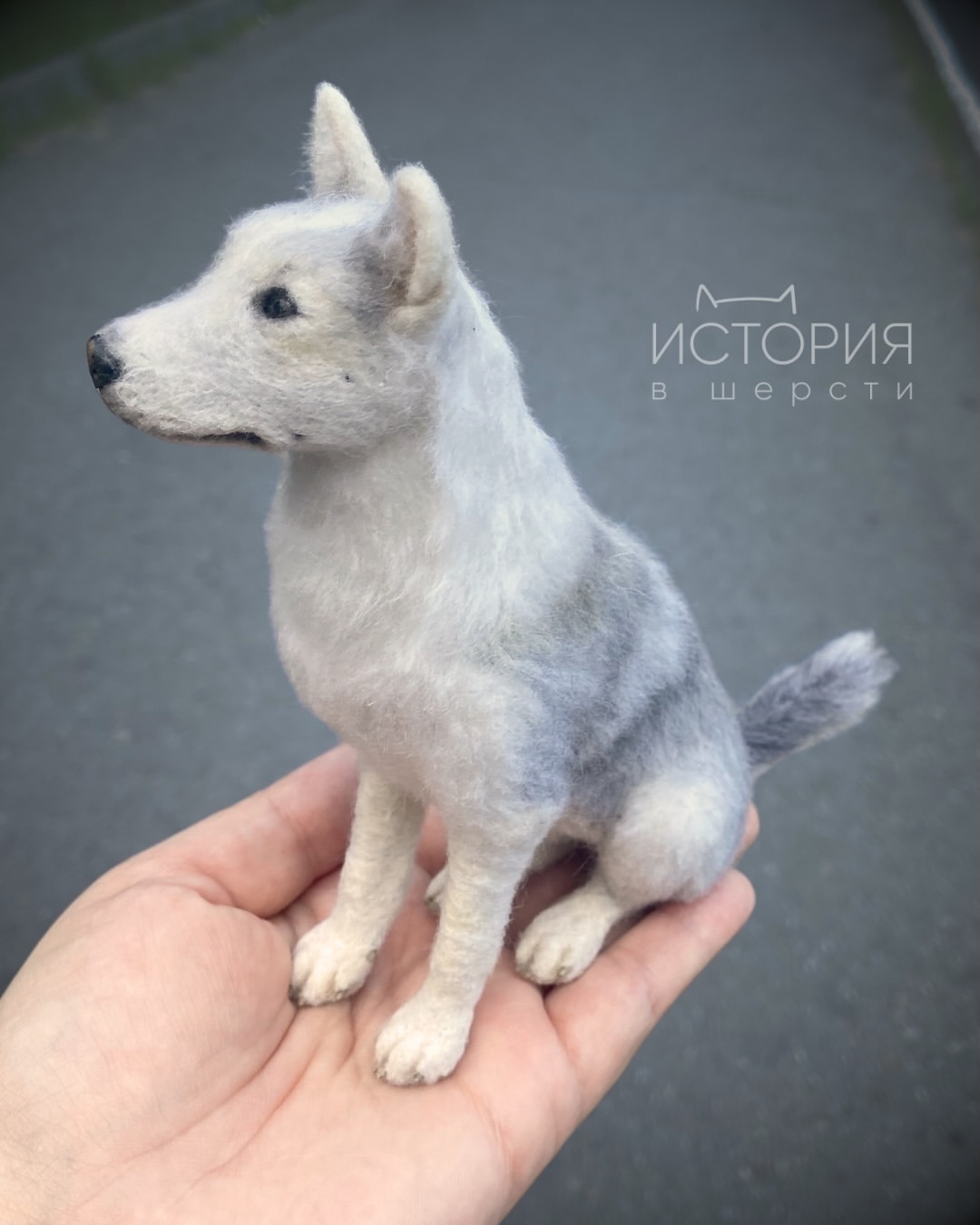 istoriya_v_shersti в LOOKY. #питомец❤️,#портретпитомца,#моясобакавсегдасомной,#feltedanimals. Пуля 🐾

Есть работы...