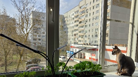 michael_mick71 в LOOKY. . В Туле сегодня +25. ...