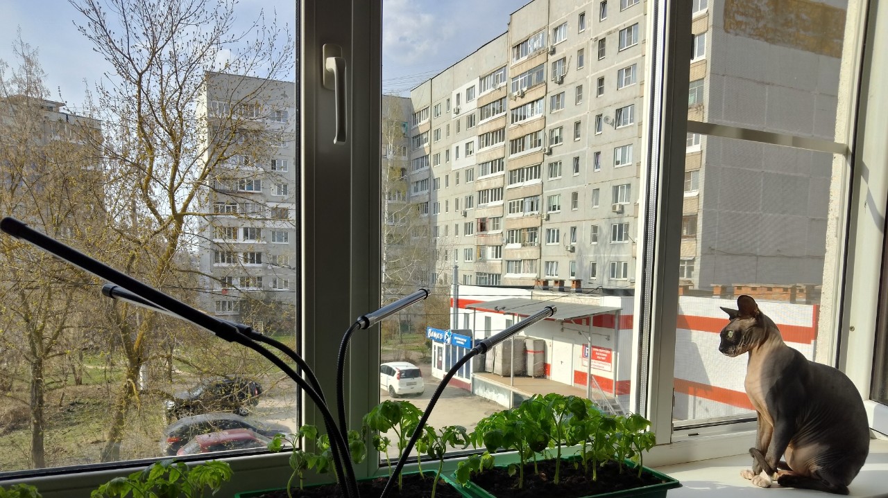 michael_mick71 в LOOKY — В Туле сегодня +25. Для 10 апреля это просто рекорд! Яркому 