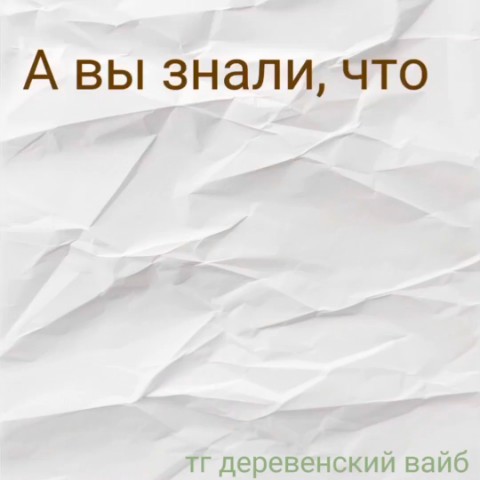 Деревенский Вайб в LOOKY. #отТревоги,#терапия,#агротерапия. Огород это терапия н...