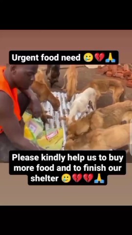 KIWAWU DOGS FOUNDATION в LOOKY. . Please the smile don...