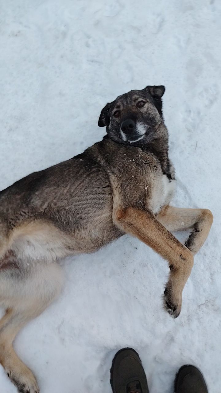 Лика в LOOKY. . Любите своих животны...