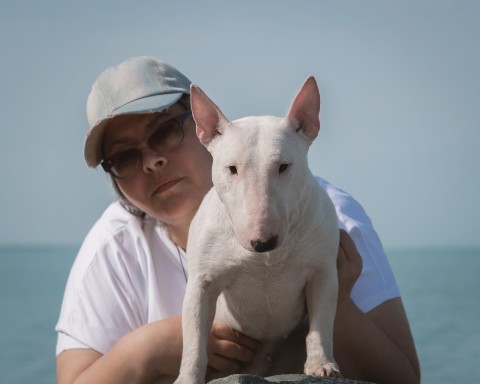 kennel.bss в LOOKY. #мбт,#минибуль,#щенки,#minibull. ВАТРУШКА СЛАДКАЯ БУЛ...
