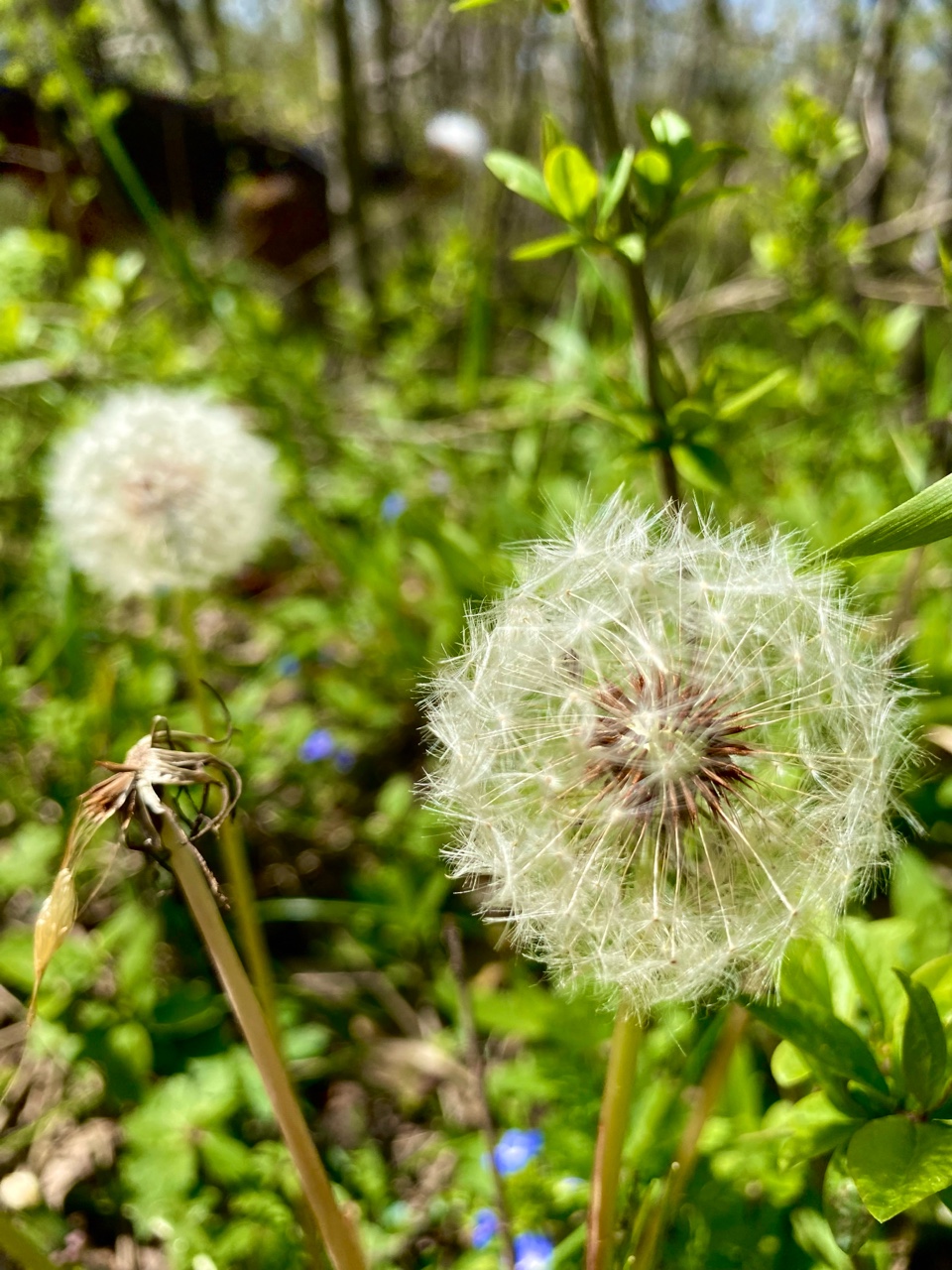 nina_melekhova в LOOKY — фото 6