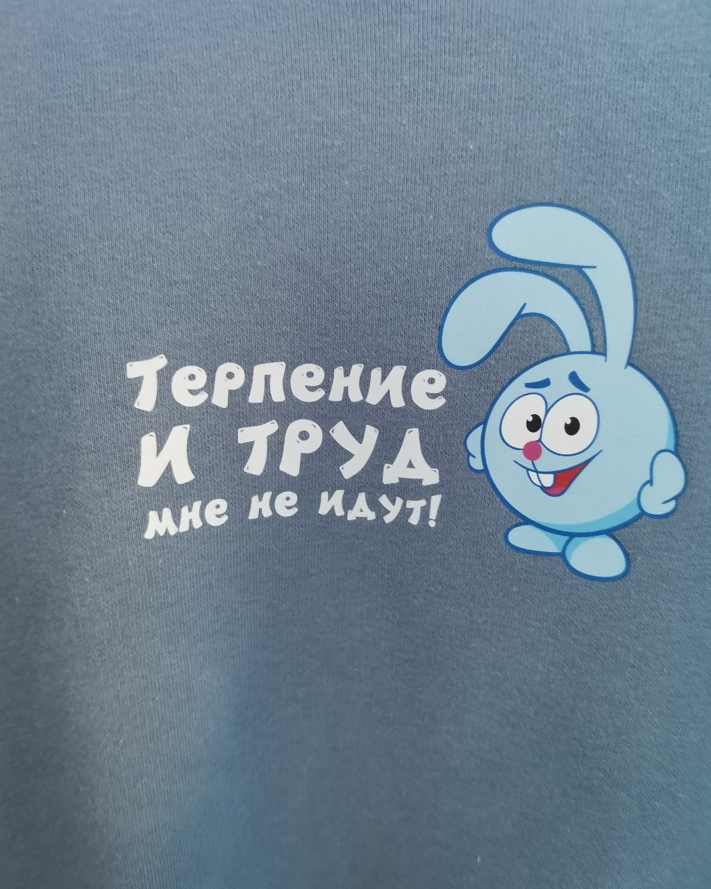 PaClick in LOOKY. . Смешарики