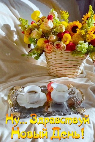 Looky_177198246739113 в LOOKY. . Доброе утро 🥰🌞💐