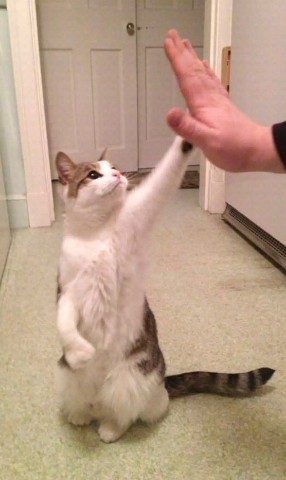 Looky_1702131348869 в LOOKY. . 