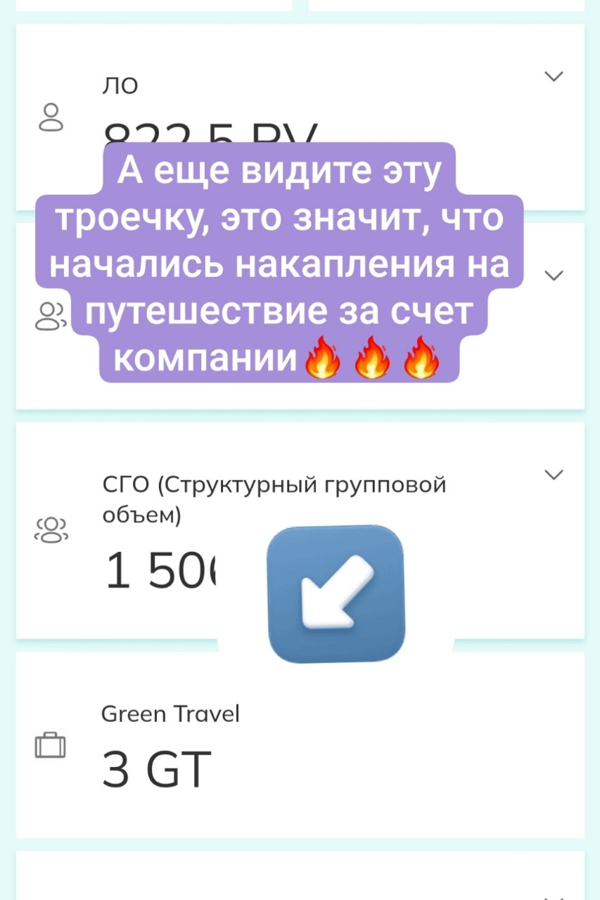 Анна Гринвей Экопродукты и доход в LOOKY — фото 3