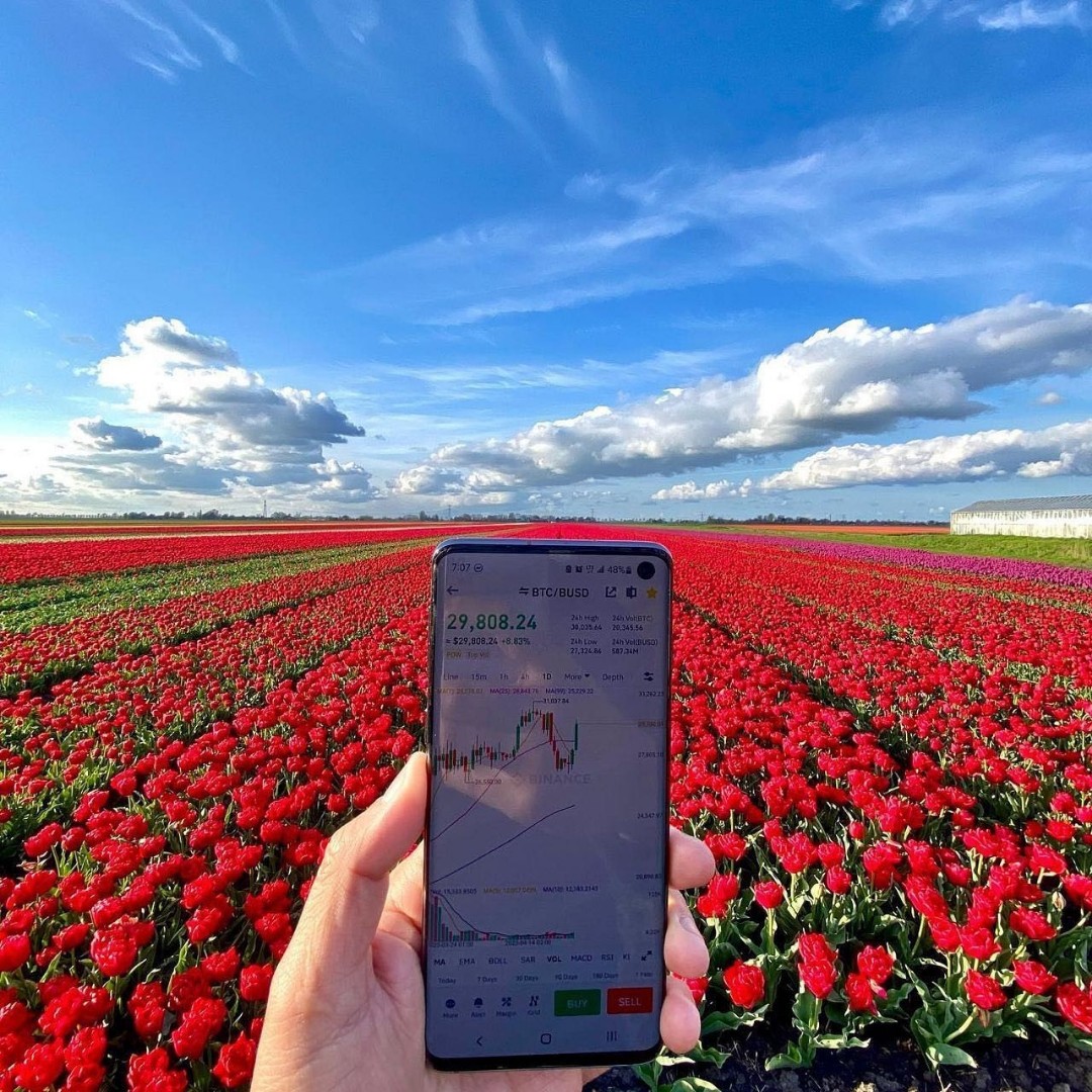 🌷+ charts = the perfect view. 

[#binance](binance) [#crypto](crypto) 