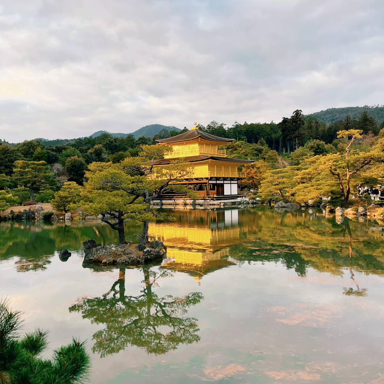 Храм Кинкакудзи, Киото 🇯🇵