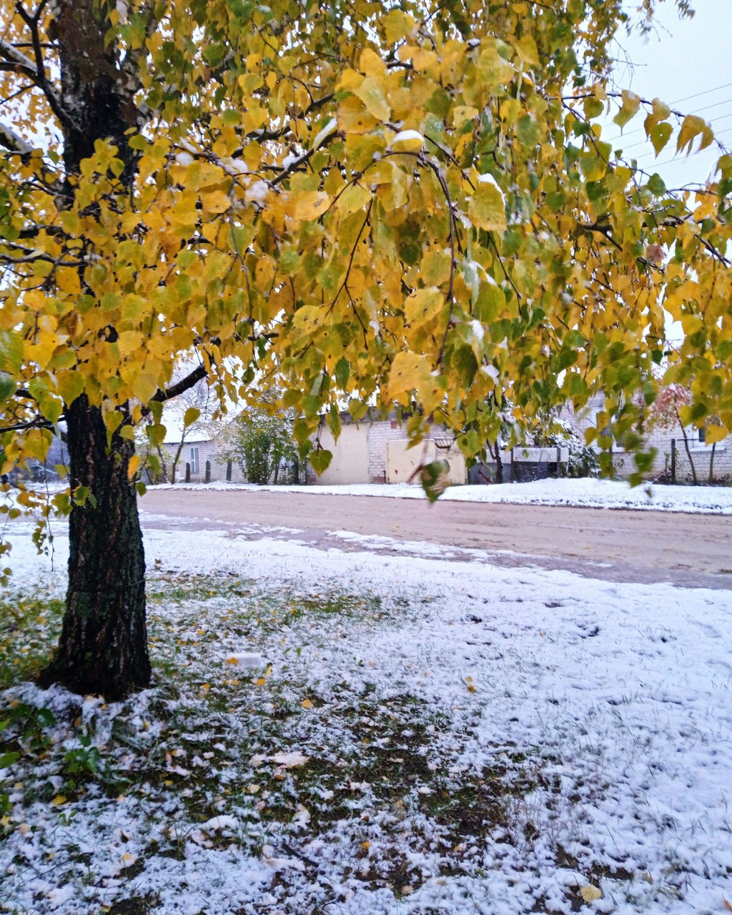 _nikysiya_ in LOOKY. . Но у меня зима в сер...