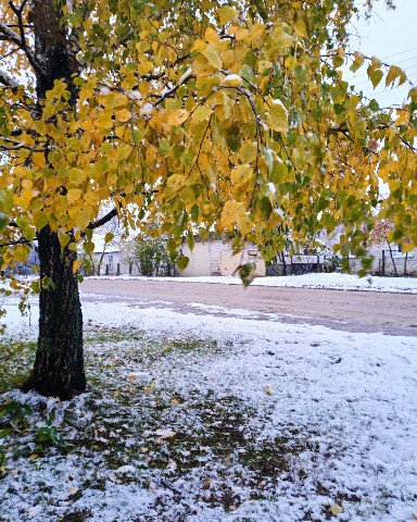 _nikysiya_ в LOOKY. . Но у меня зима в сер...