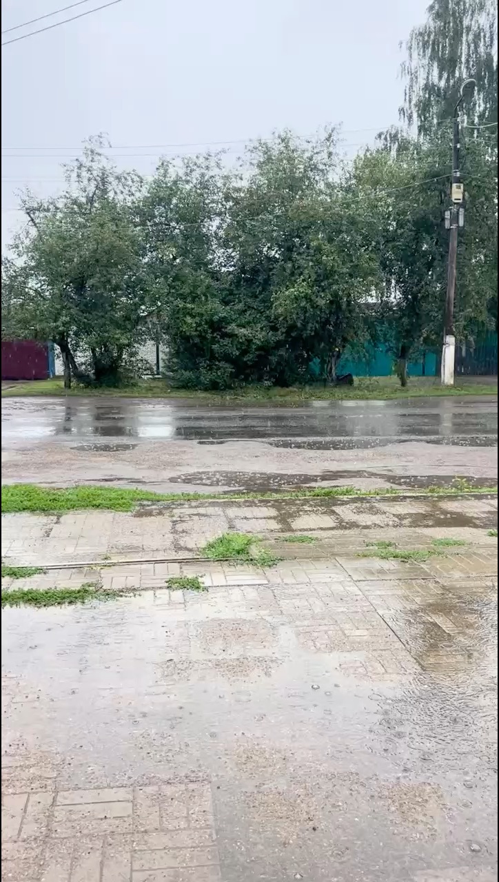 Yulia Sibiria в LOOKY — публикация