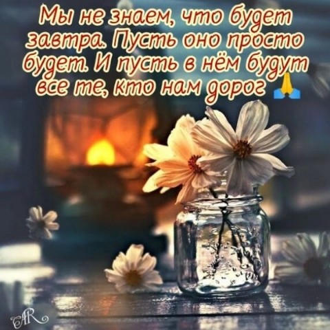 Looky_177955776433590 в LOOKY. . 