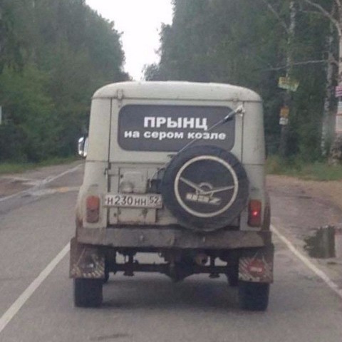 Ирина_67_RUS в LOOKY. #юмор,#козëл,#реальность. Раньше "ПРЫНЦ" был н...