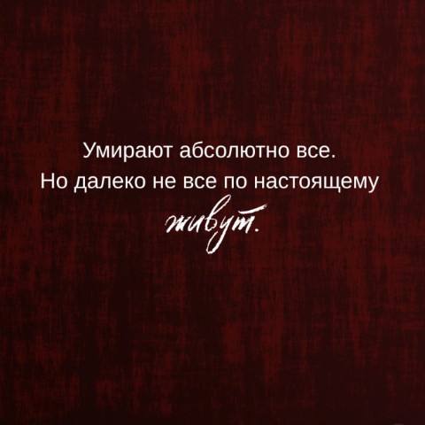 Welfare в LOOKY. #деньвдв. #деньвдв