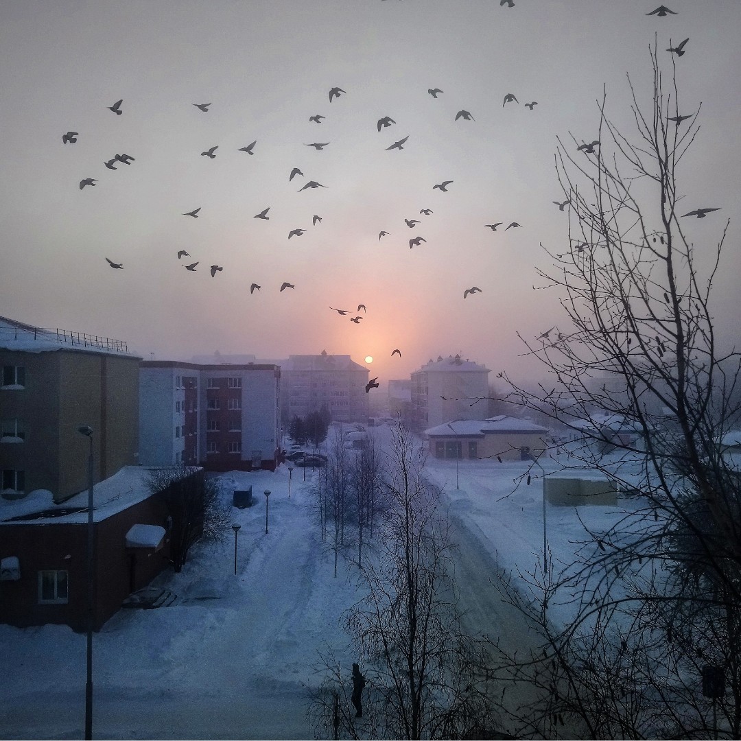 Лангепас. 2019 г.
#лангепас #хмао #север #зима #городскойпезаж #утро [#рассвет](рассвет) #путешествия #urbanphotography #streetphotography #artphotography