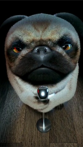 scottish_inquisitor в LOOKY. #dog. Blues #dog