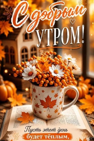 Looky_177821726465292 в LOOKY. . 