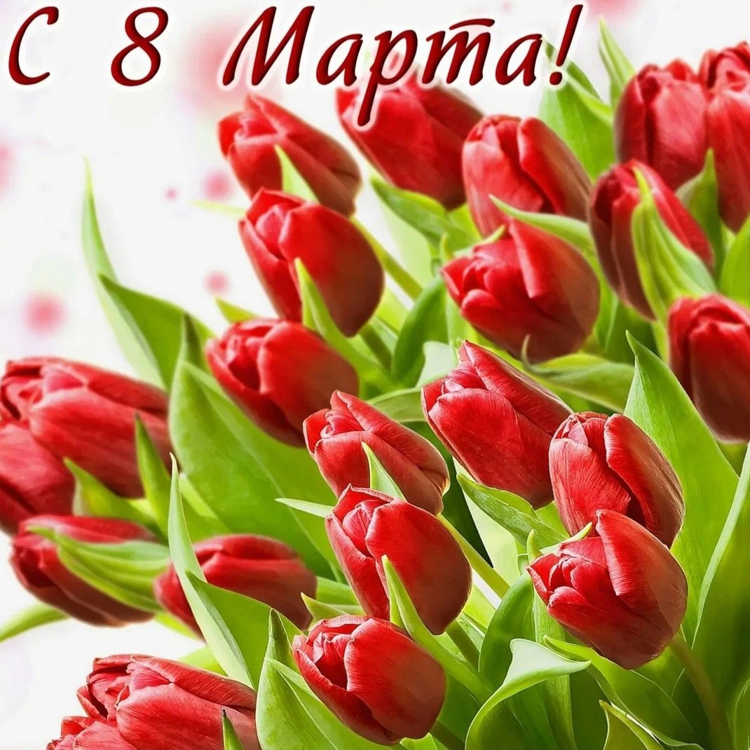 Looky_1670513685562 в LOOKY — С праздником, дорогие наши женщины!
#8марта #весна