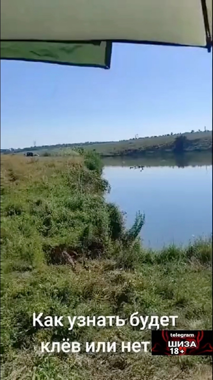 masolovreal в LOOKY. . Рыбалка