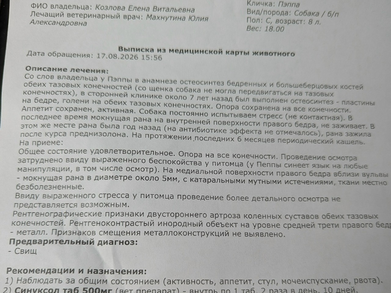 Лена Козлова в LOOKY — фото 4