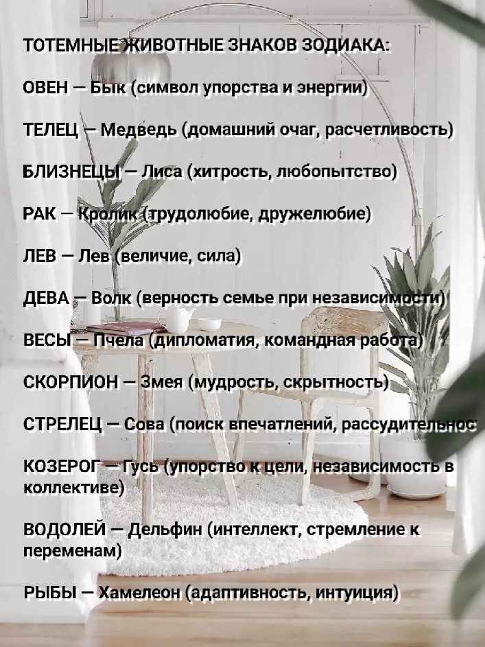 natasha.chuprova2018 в LOOKY — публикация