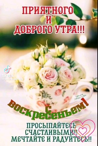 Полярный Панда в LOOKY — публикация