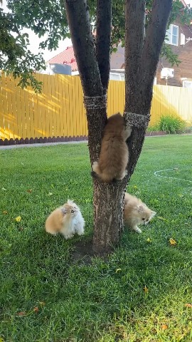 Вячеслав Кузнецов в LOOKY — Утра