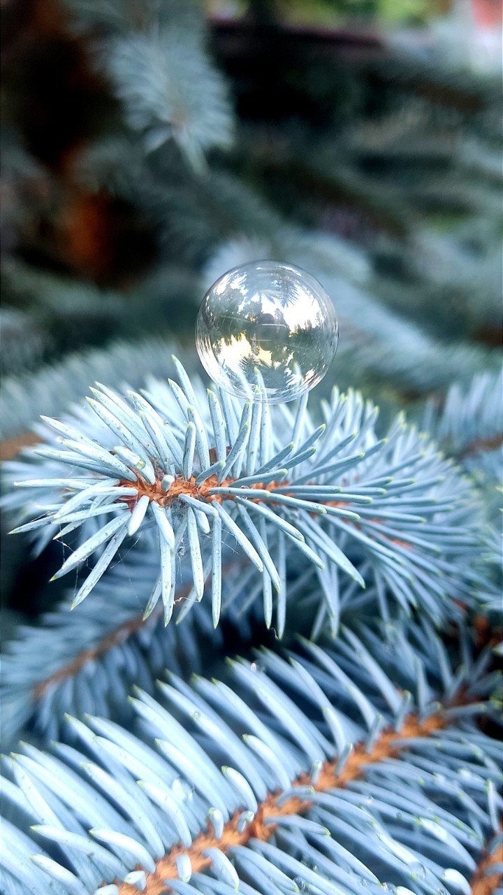 kseniiaabrukova