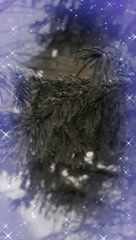 angel_aliushka_demon в LOOKY. . 