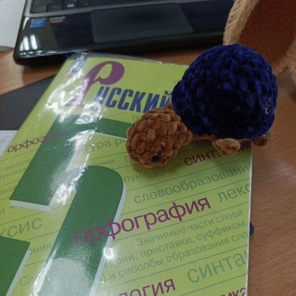Черепашонок🐢

 #вязание #амигуруми #вязаниекрючком #творчество #своимируками #хобби #ручнаяработа #игрушкиамигуруми #вязанныеигрушки #тыква
