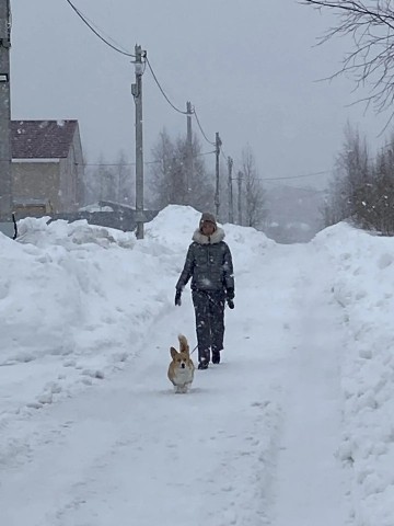 Юлия Марышева in LOOKY. #зима. #зима не сдается#про...