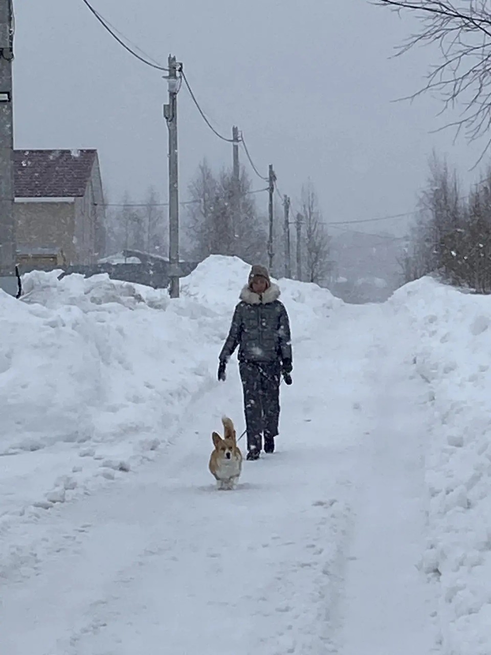 Юлия Марышева в LOOKY — #зима не сдается#прогулка с моей любимкой#март на дворе#весн