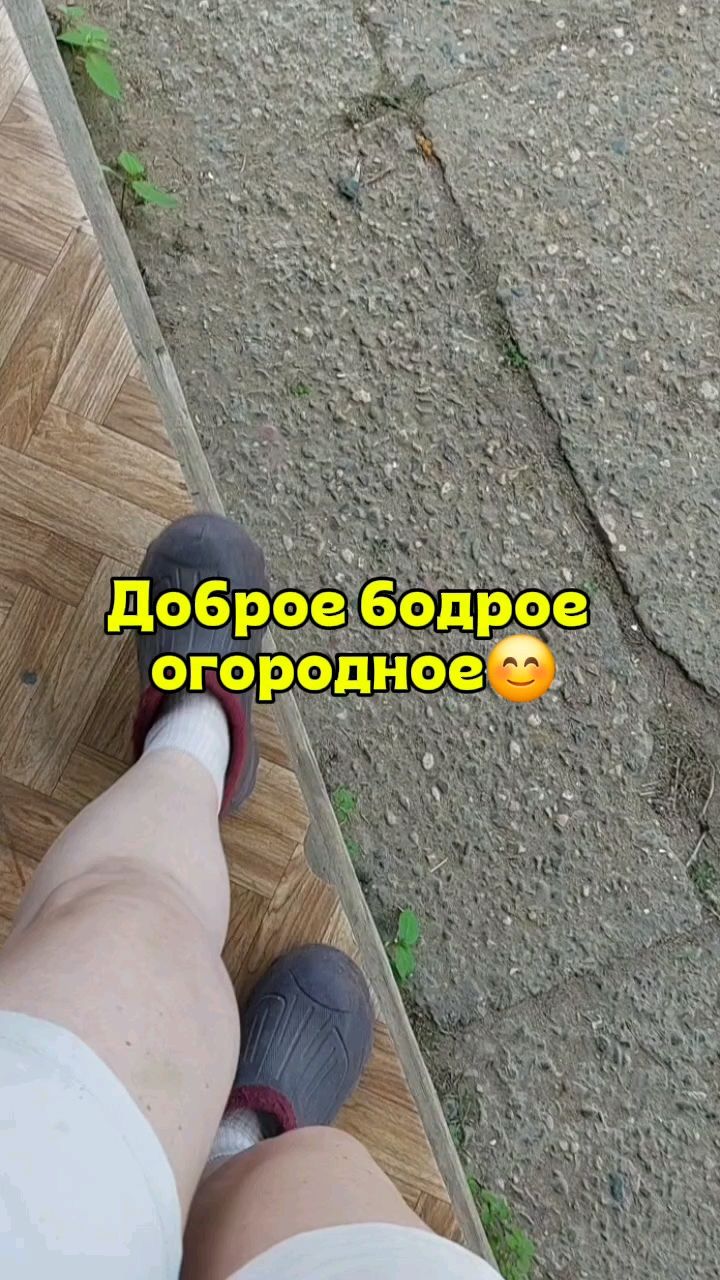 ОБУЧАЮ ЖЕНЩИН ДОХОДУ И ЗДОРОВЬЮ в LOOKY. #НОВАЯЖИЗНЬПОСЛЕ50,#буднибабушки,#буднисетевика,#огородмеждуделом. Доброе бодрое утро, ...