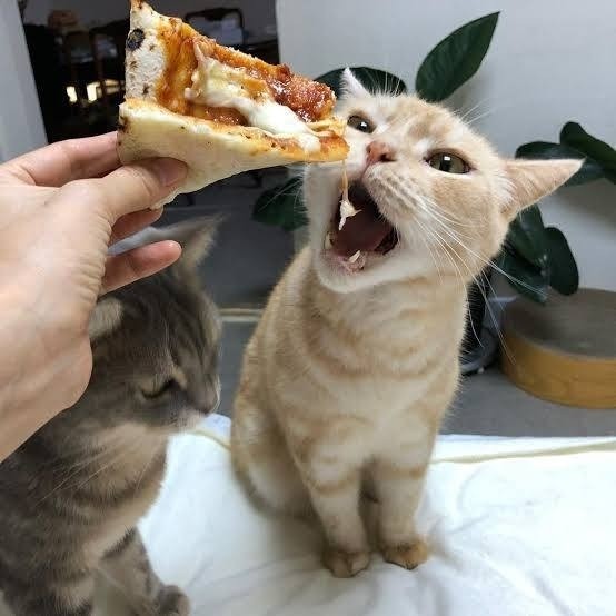 olesyahval в LOOKY — Сегодня отмечается Международный день пиццы 🍕
