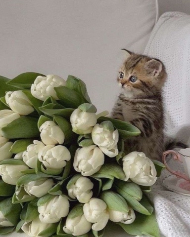 Ymenyalapki в LOOKY. . 🐾 Мне нужно больше ...