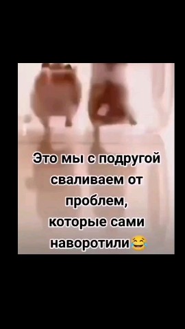 ВОЛК СЕРЫЙ в LOOKY — публикация