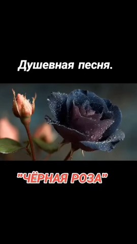 Looky_178218219985132 в LOOKY. . 