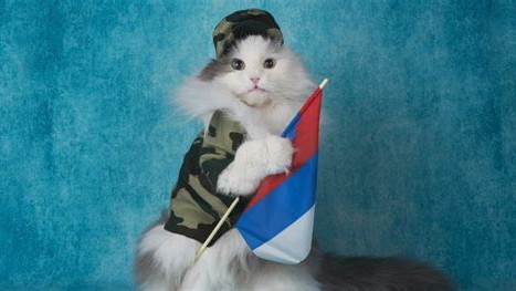 Damien в LOOKY. . ♥️♥️💚🥰🇷🇺